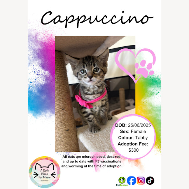 Photo of Cappuccino