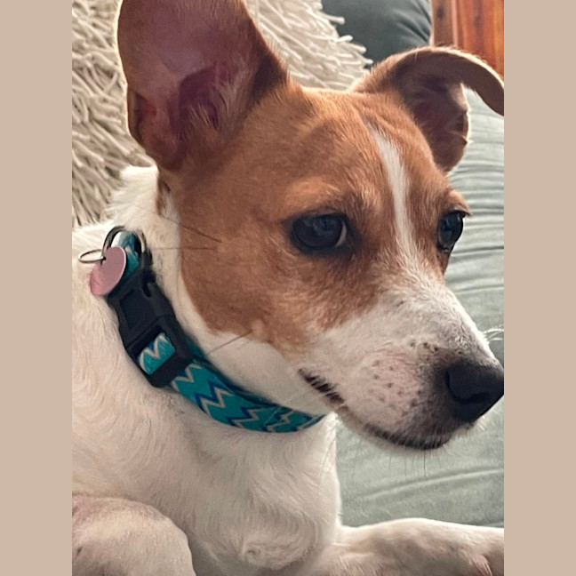Photo of Maisie