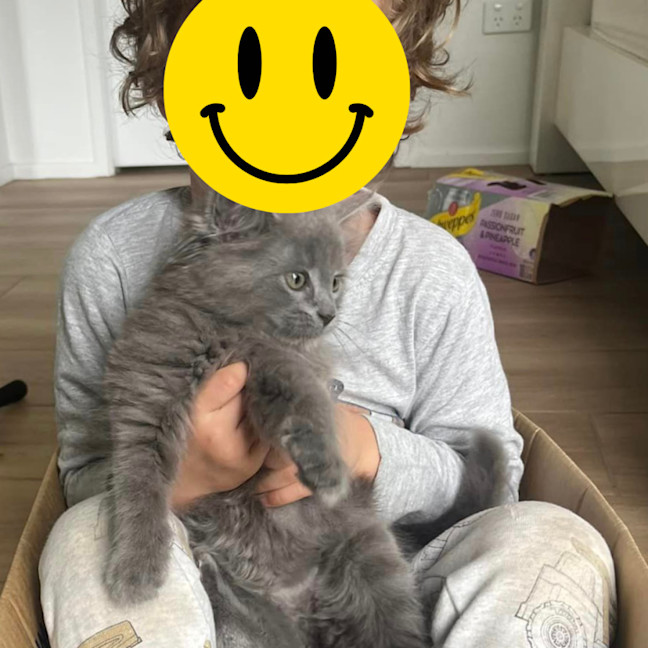 Photo of Cloud