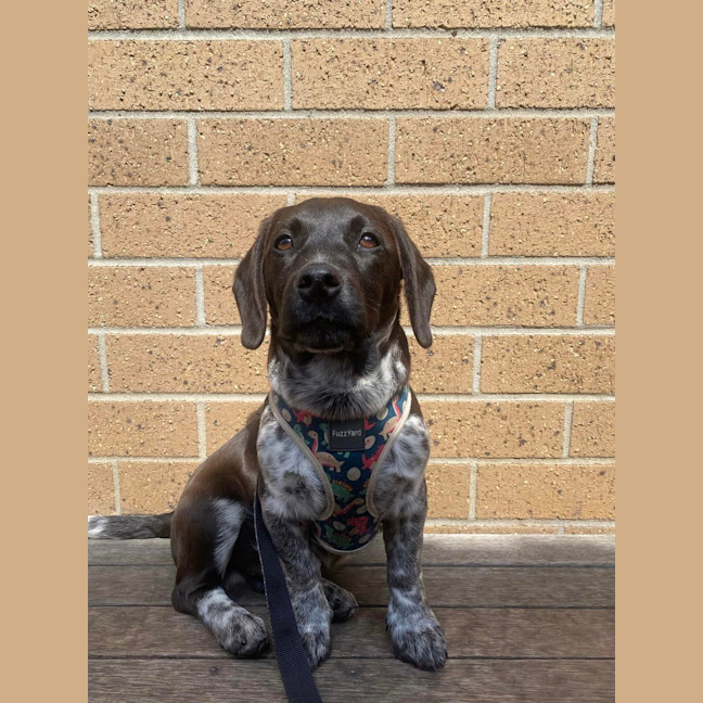 Photo of Echo
