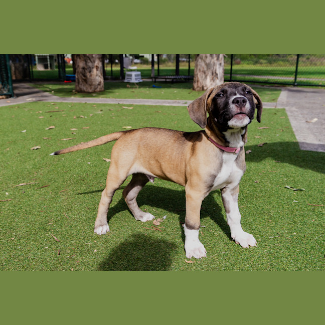 Photo of Chucklesworth