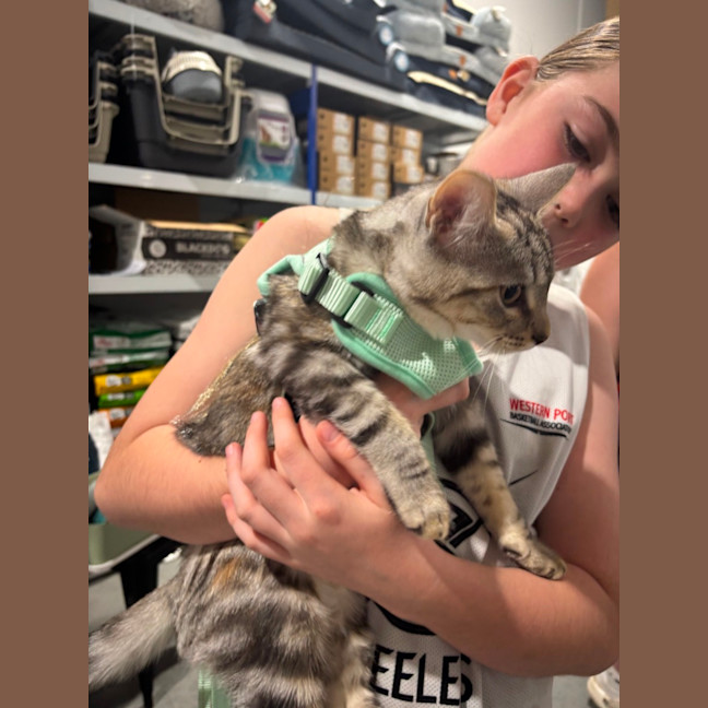 Photo of Maxi Meet Me@Petstock Keysborough Store