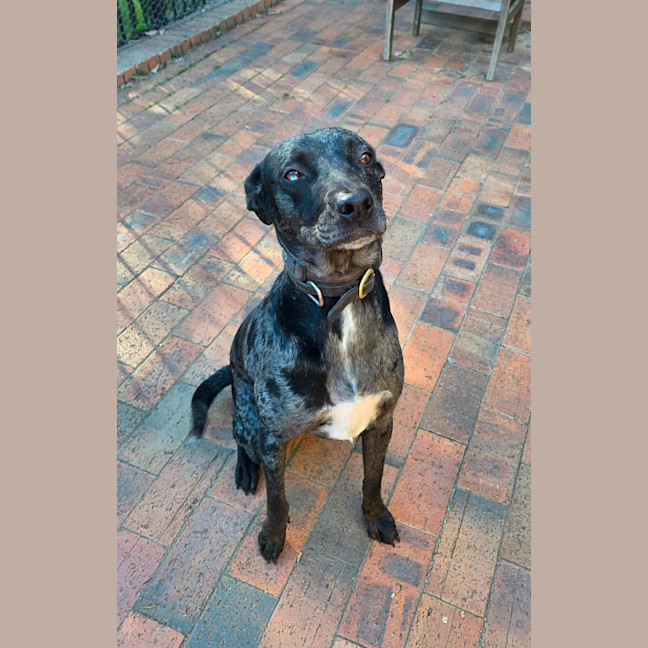 Photo of Luna 