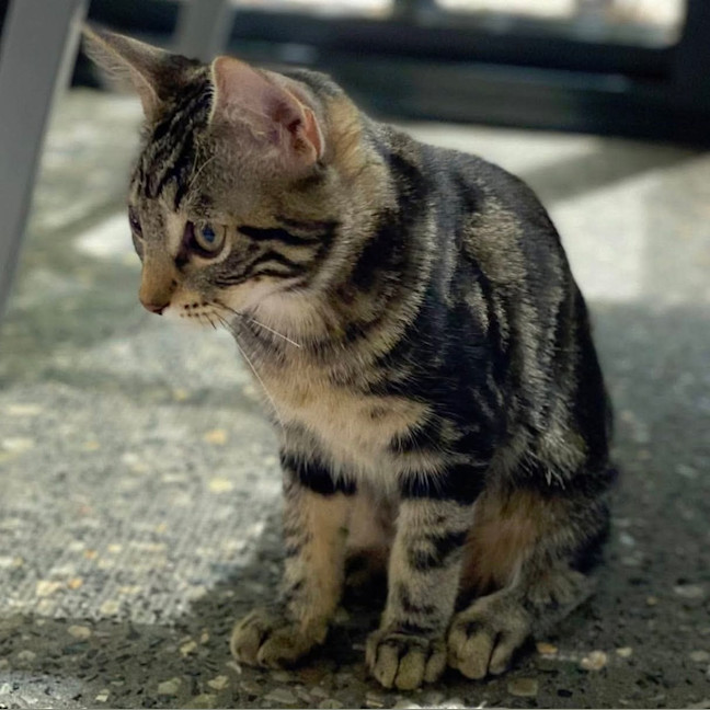 Photo of Pj