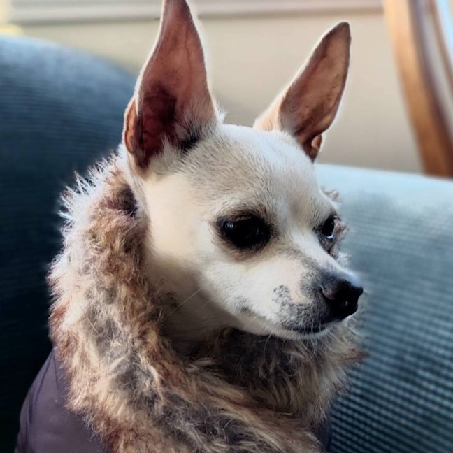 Photo of Edith