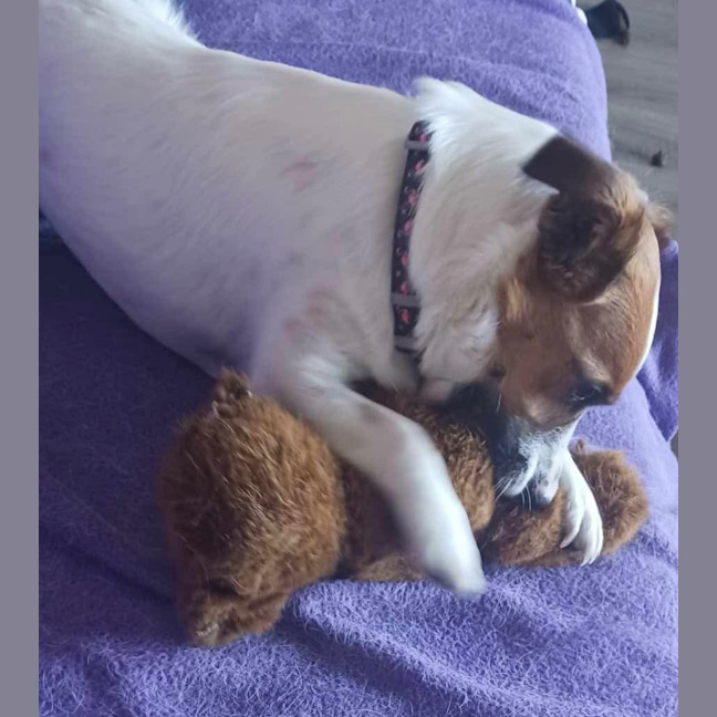 Photo of Otto