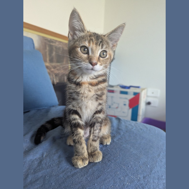 Photo of Blanche Golden