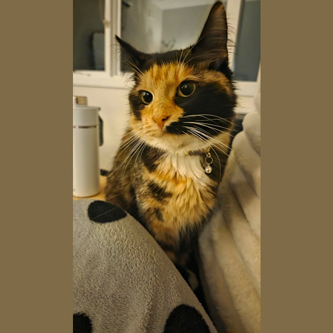 Photo of Cali