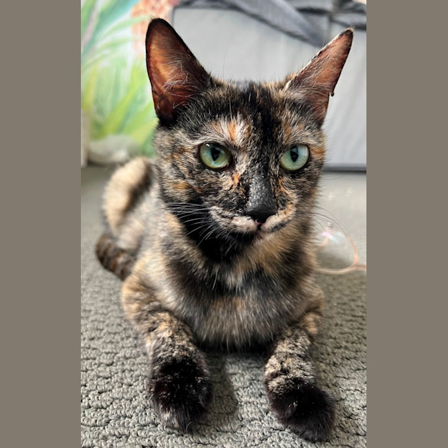 Photo of Ruby