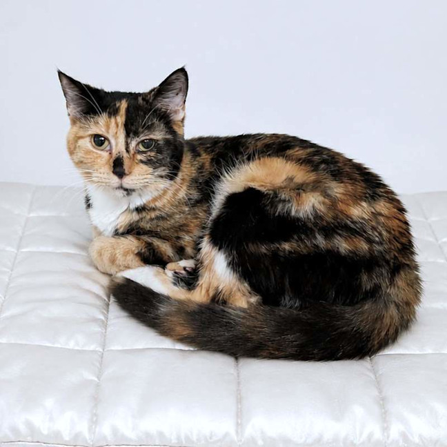 Photo of Rosie