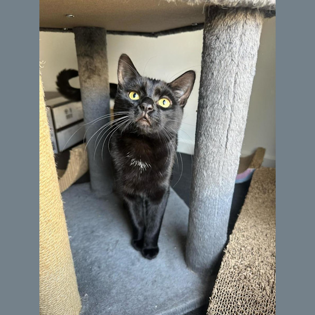 Photo of Giorgio 💙