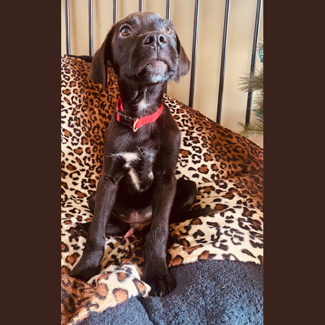 Photo of Theodore