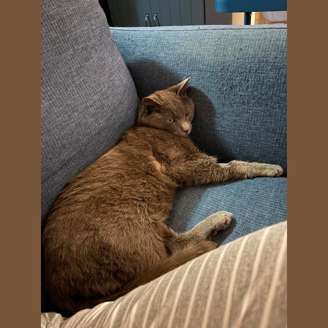 Photo of Ralph