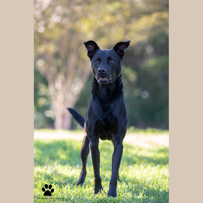Photo of Zeus