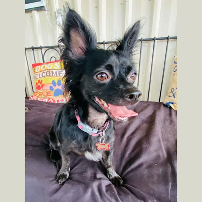 Photo of Missy