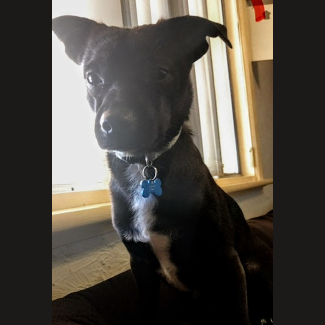 Photo of Jeff (Was Jet)