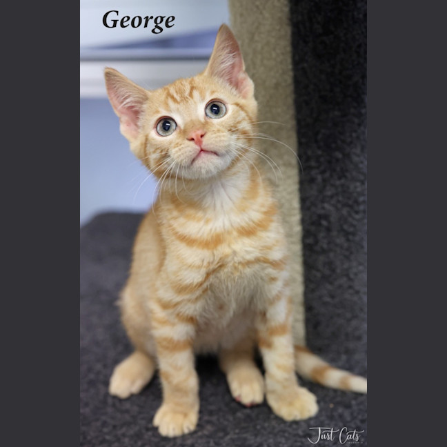 Photo of George