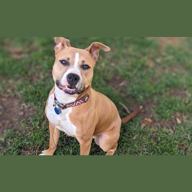 Photo of Kimber
