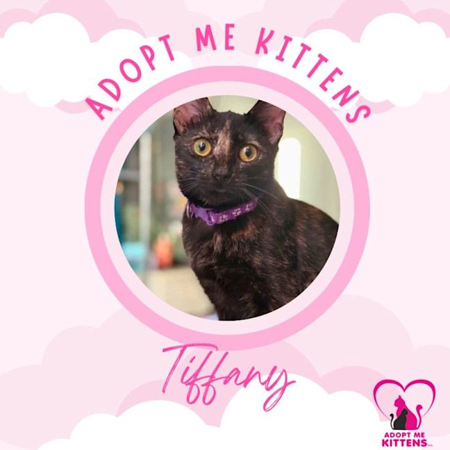 Photo of Tiffany
