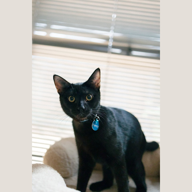 Photo of Percy
