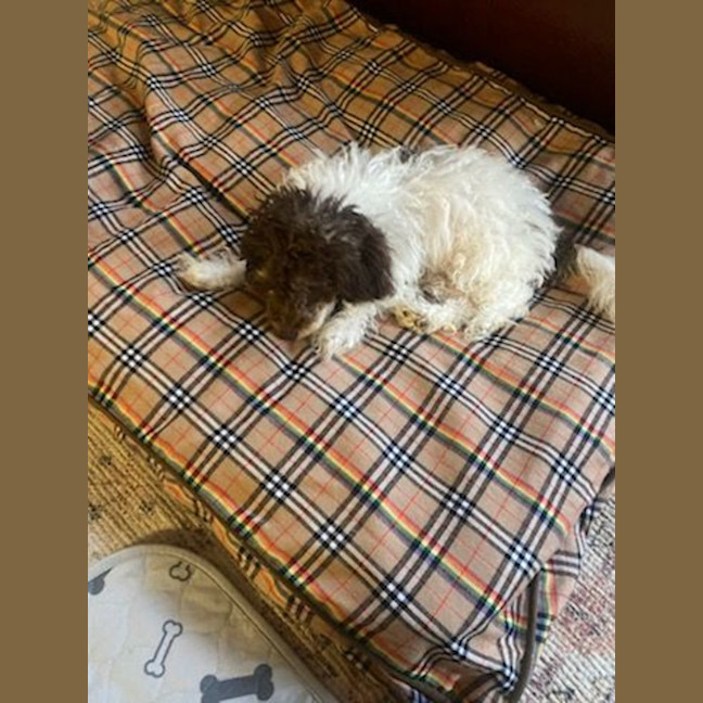 Photo of Harmony ☺️