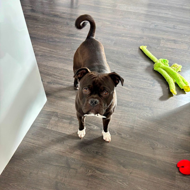 Photo of Rukkus