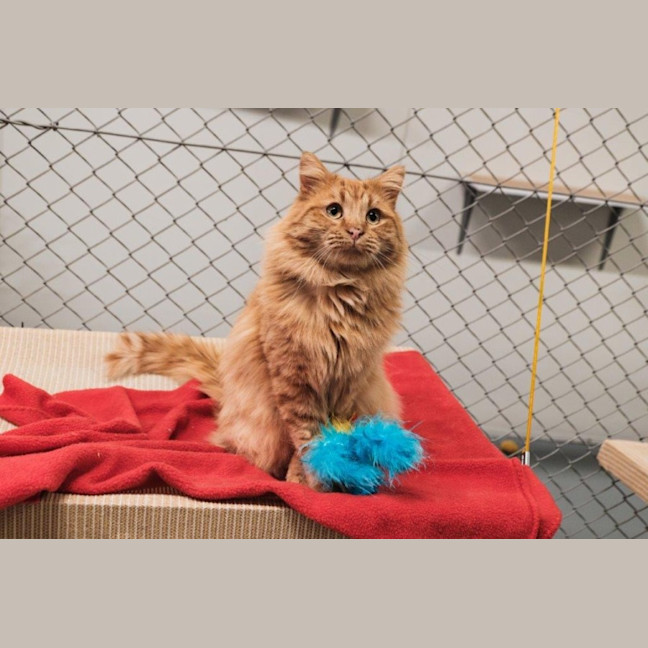 Photo of Gaston Quinnell