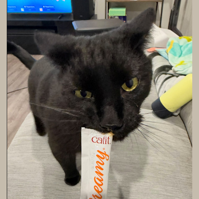 Photo of Otis