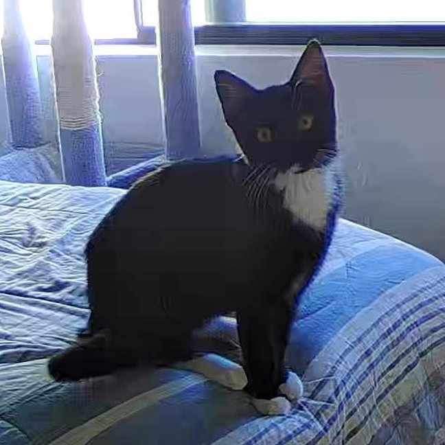 Photo of Sybil