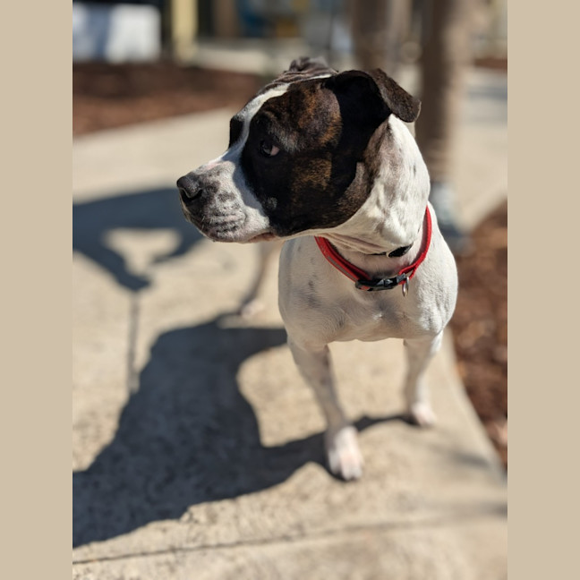 Photo of 🦒 Howard 6446 🦒