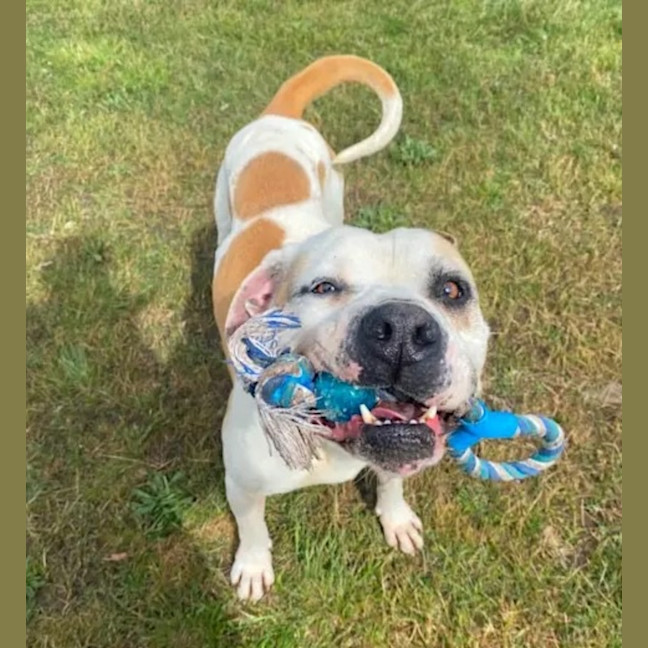 Photo of Buddy Xenos