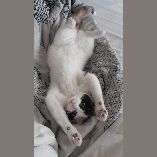 Photo of Lily