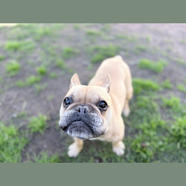 Photo of Melvin