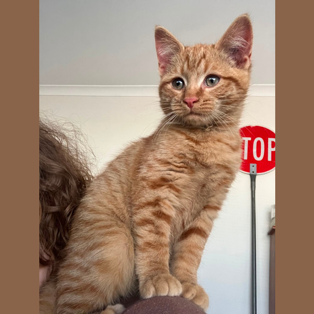 Photo of Arlo