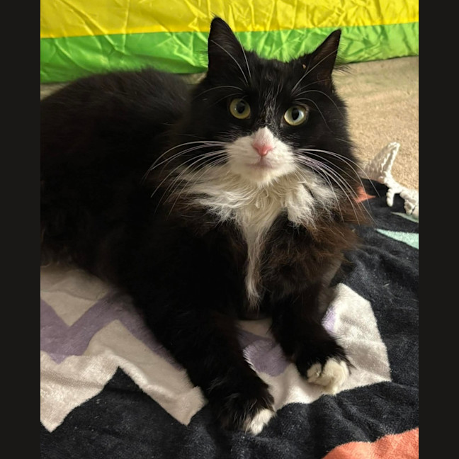 Photo of Inky
