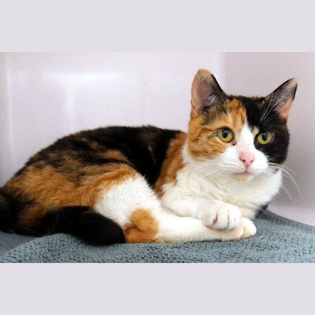 Photo of Jasmine Sta013094