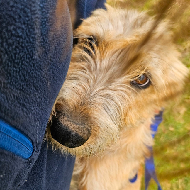 Photo of Betty