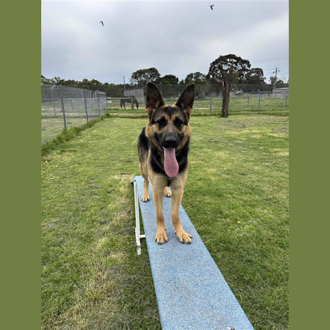 Photo of Trudy
