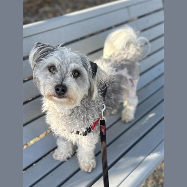 Photo of Sunny