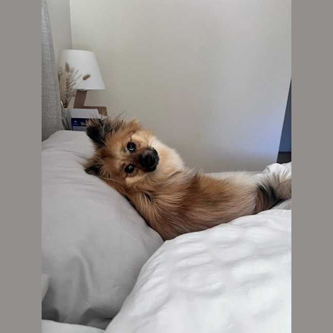 Photo of Blossom