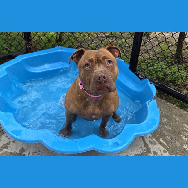 Photo of Mila Imp 358