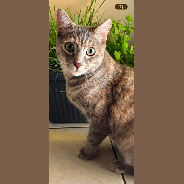 Photo of Charlotte