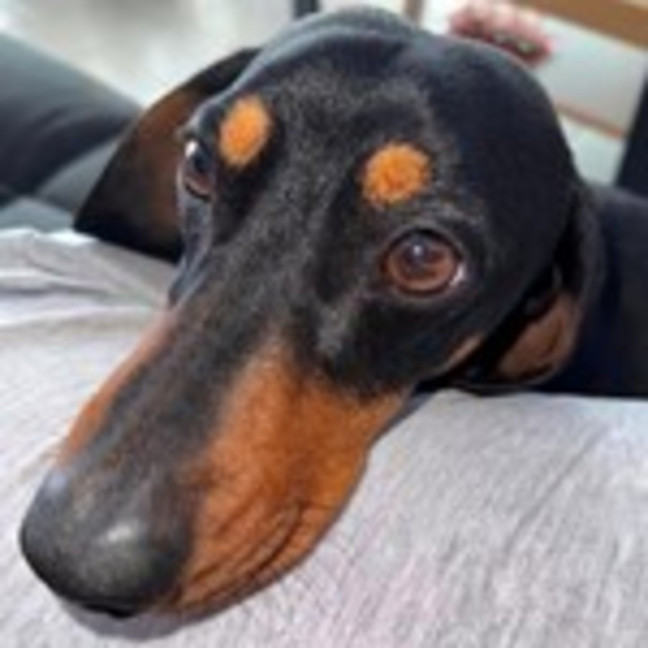 Photo of Mama And Frankie