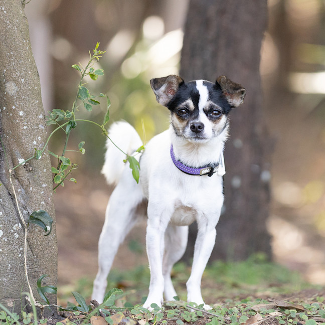 Photo of Mimi