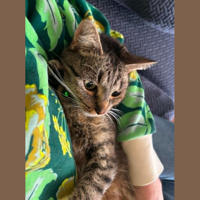 Photo of  🤟 Yuna 🤟