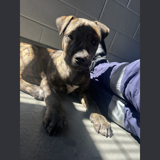 Photo of Bruce