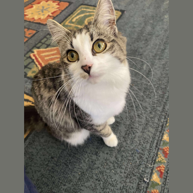 Photo of Mabel 