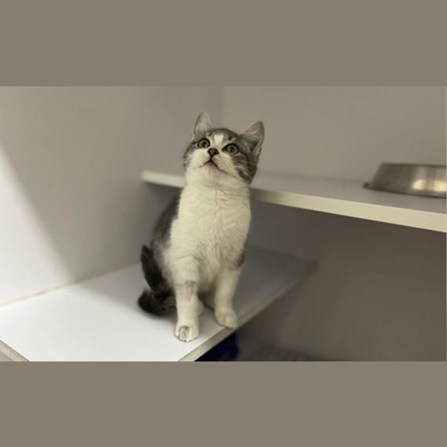 Photo of Bucky