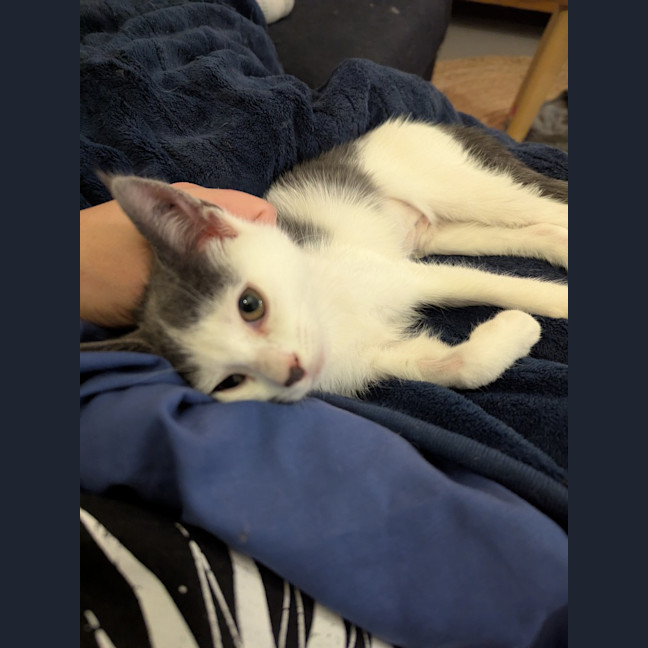 Photo of Minnie Baby