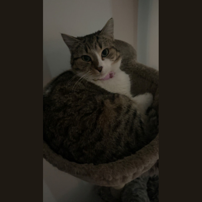 Photo of Kiara